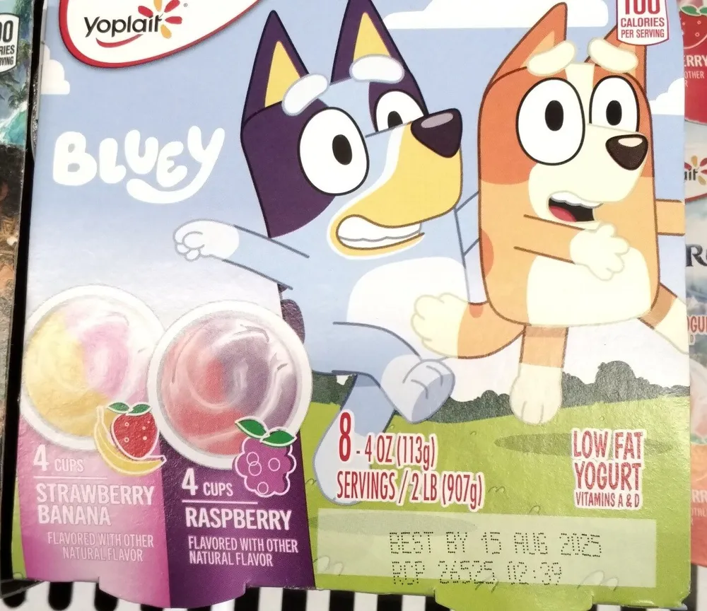 Yoplait Kids Raspberry/Strawberry Banana Variety Pack 8 Count