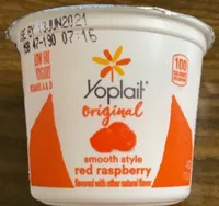 Yogurt smooth style red raspberry
