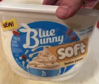 Soft Butter Pecan Ice Cream