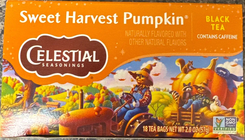 Sweet Harvest Pumpkin