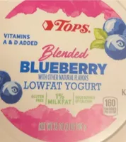 Blueberry blended lowfat yogurt
