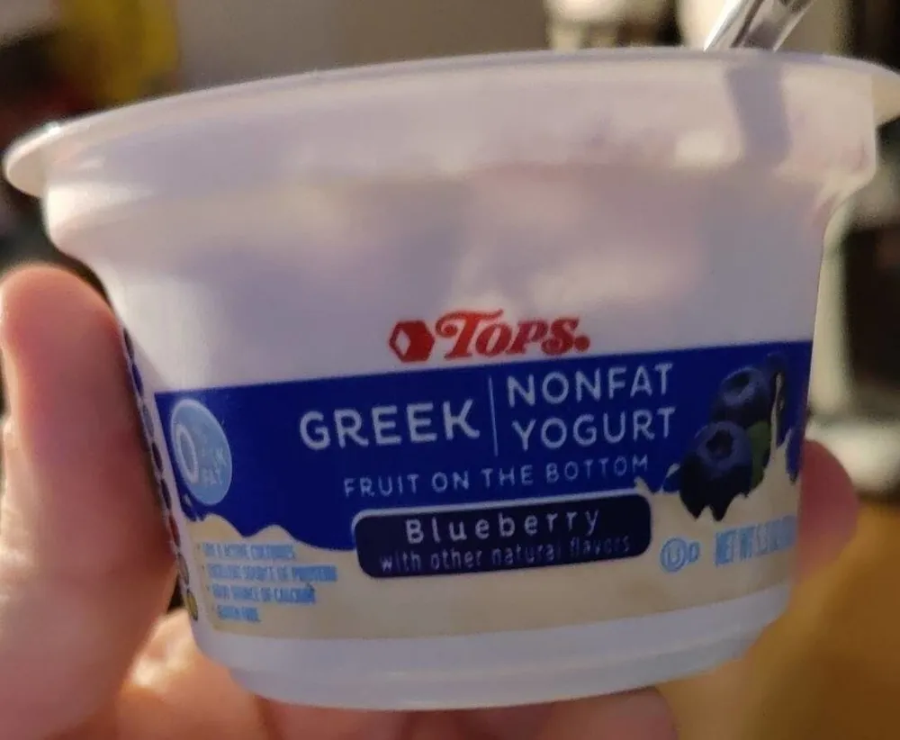 Greek nonfat yogurt