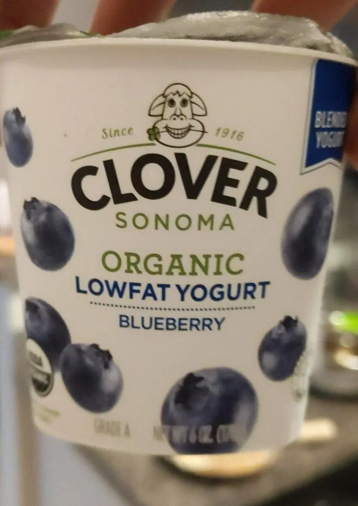 blueberry low-fat Yogurt