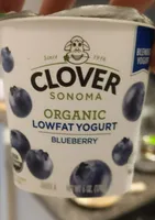 blueberry low-fat Yogurt