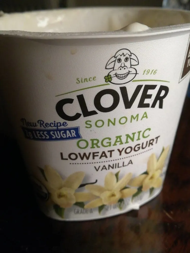 Organic lowfat yogurt vanilla