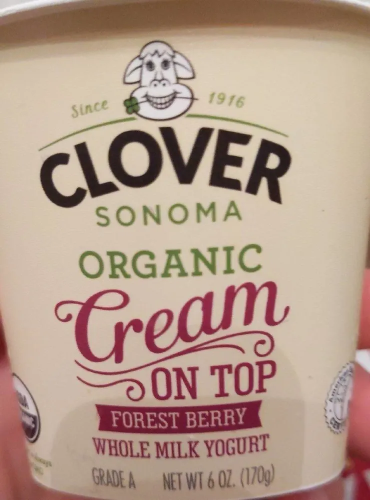 Whole milk yogurt
