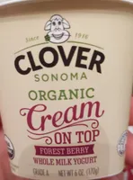 Whole milk yogurt