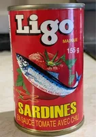 Sardines