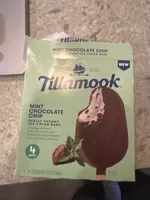 Mint Chocolate Chips Ice Cream Bar
