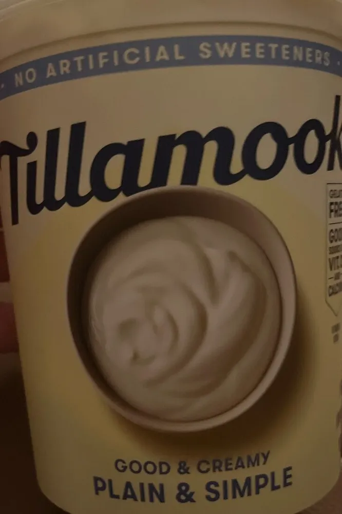 Plain and simple lowfat yogurt