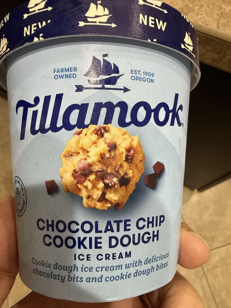 Chocolate Chip Cookie Dough Ice Cream