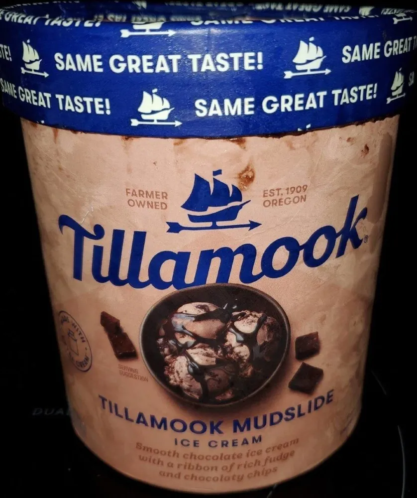 Tillamook Mudslide Ice Cream