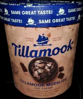 Tillamook Mudslide Ice Cream