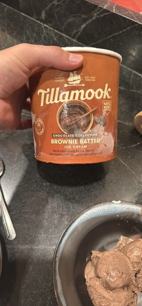 Brownie Batter Ice Cream