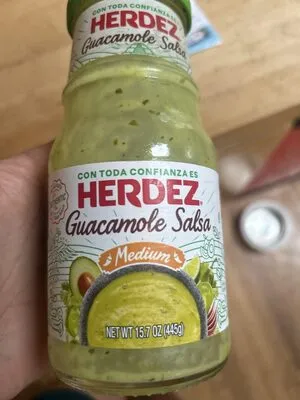 Guacamole Salsa