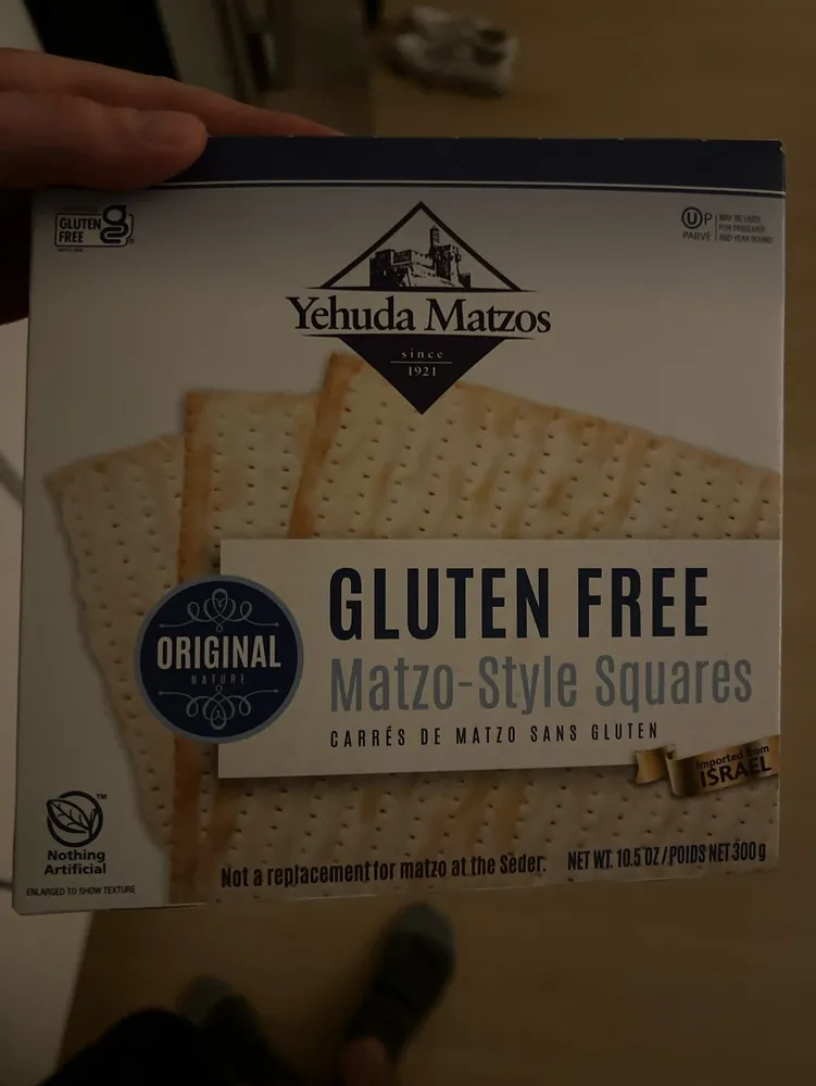 Gluten Free Matzo-Style Squares