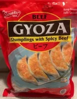 Gyoza Dumplings with Spicy Beef