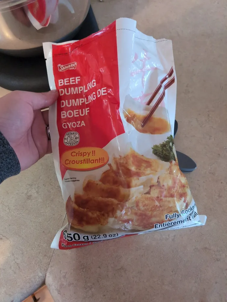 Beef Dumpling