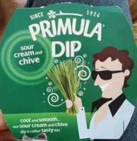 Primula Sour Cream and Chive Dip