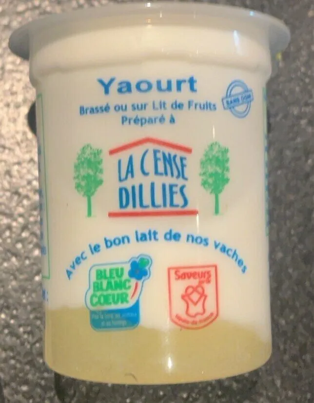 Yaourt sur lit de fruit