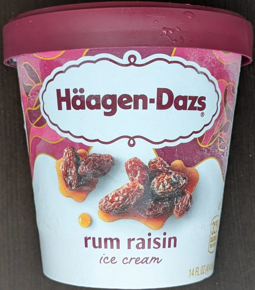Rum Raisin Ice Cream
