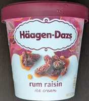 Rum Raisin Ice Cream