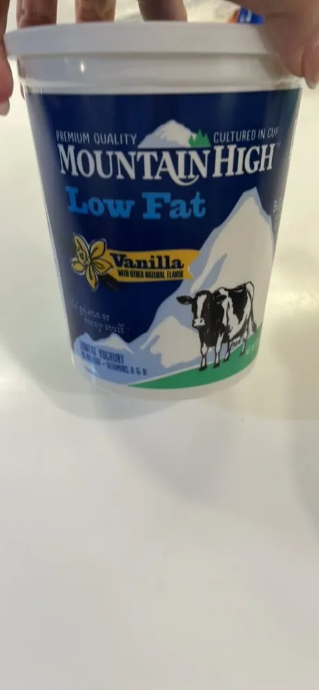 Low Fat Vanilla Yogurt
