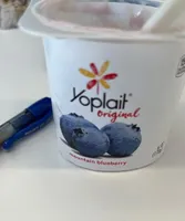 Blueberry yogurt