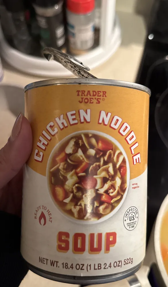 CHICKEN NOODLE SOUP