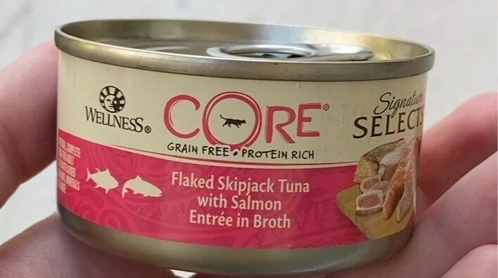Core