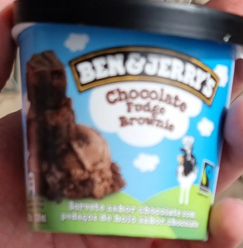 Chocolate Fudge Brownie