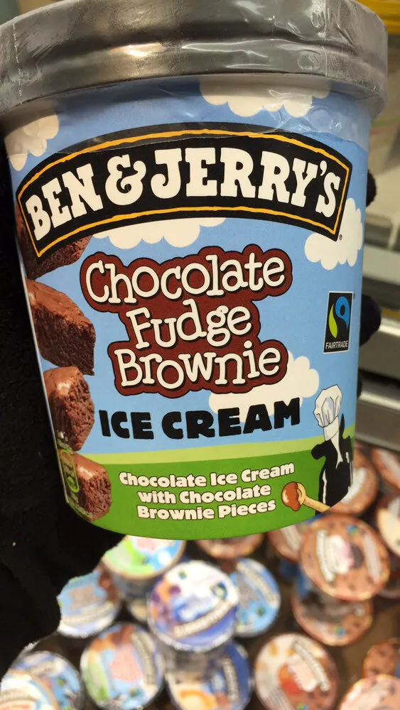 Chocolate Fudge Brownie