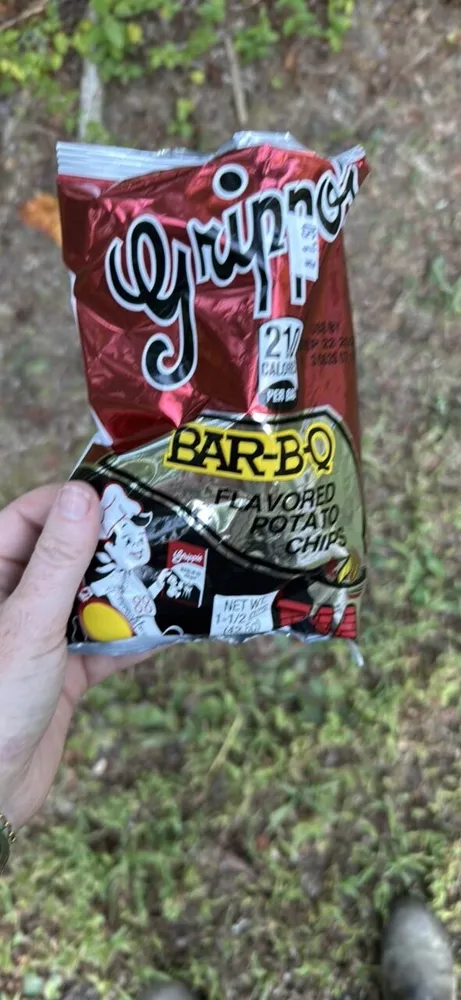 BAR-B-Q FLAVORED POTATO CHIPS