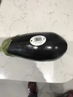 Aubergine