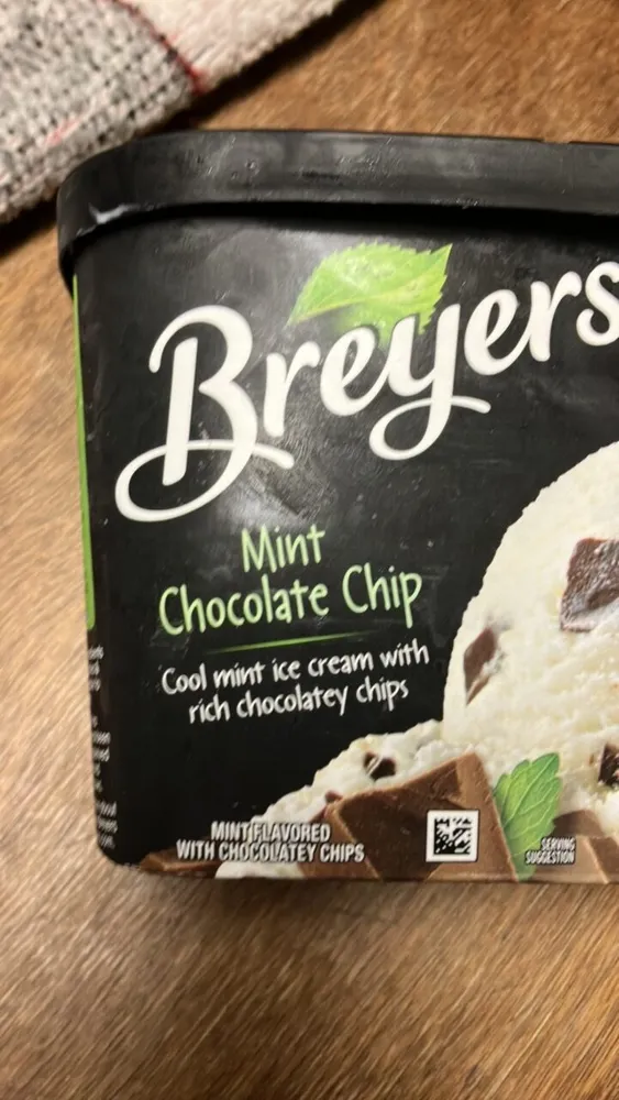 Mint Chocolate Chip