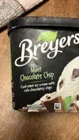 Mint Chocolate Chip