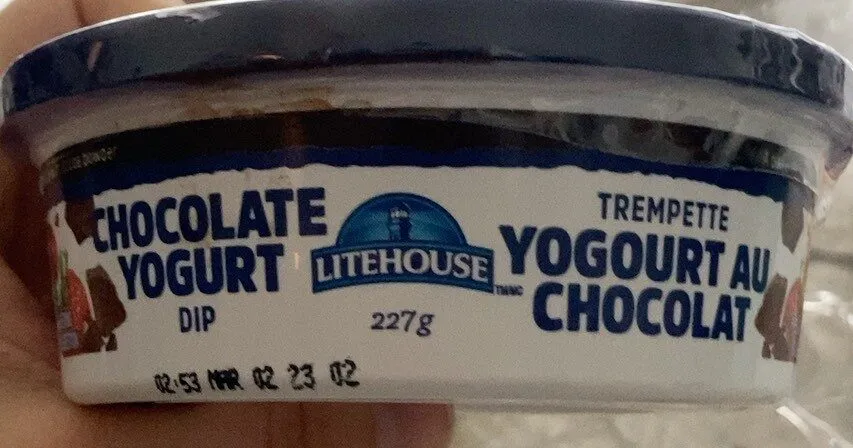 Chocolate Yogurt Dip