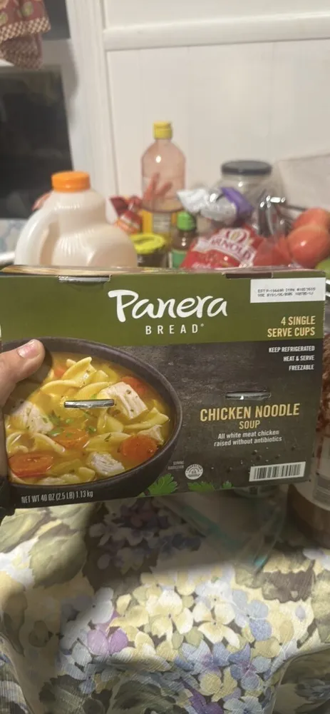 CHICKEN NOODLE SOUP