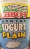 Nonfat Yogurt Plain