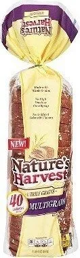 Healthy Habits Light Multigrain Bread