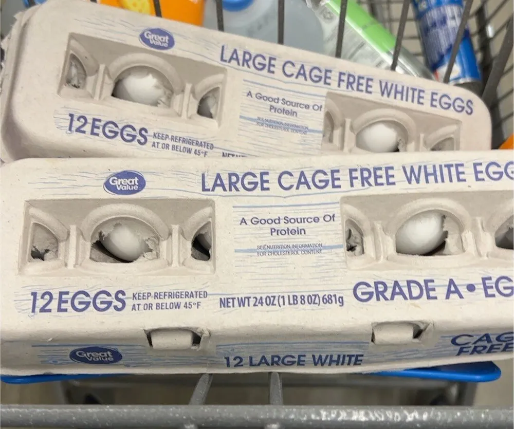Cage Free Large White Eggs
