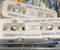 Cage Free Large White Eggs