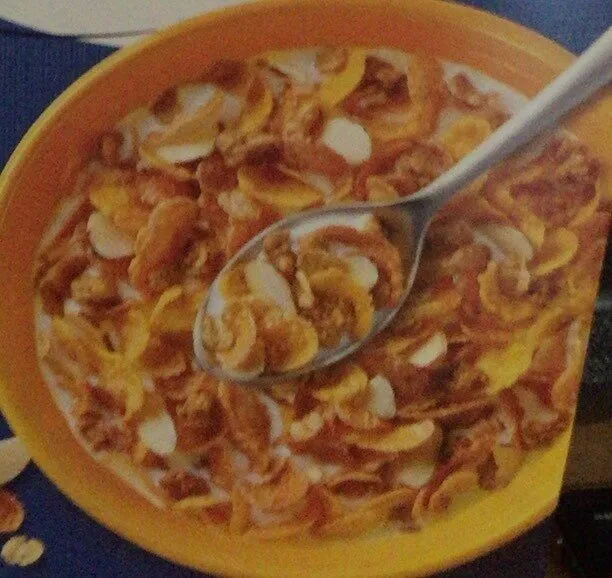 Almond Crunchy Honey Oats