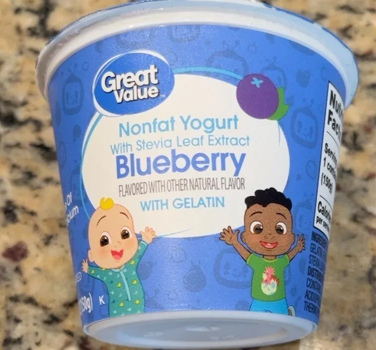 Nonfat blueberry yogurt