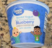 Nonfat blueberry yogurt