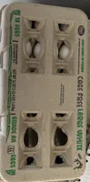Cage Free Large White Eggs