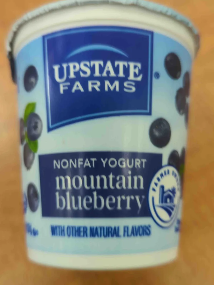 Mountain blueberry Nonfat yogurt