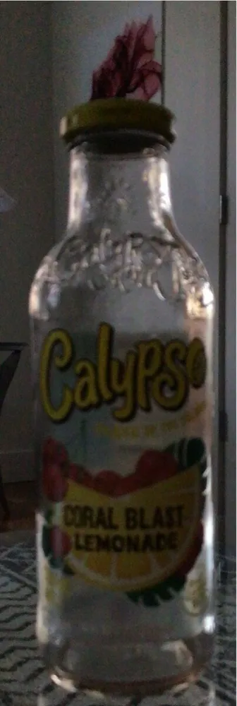 Calypso