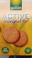 Active integral