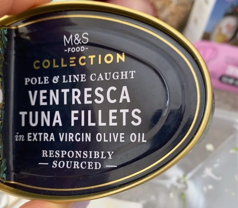 Ventresca tuna fillets
